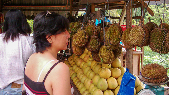 durians in davao